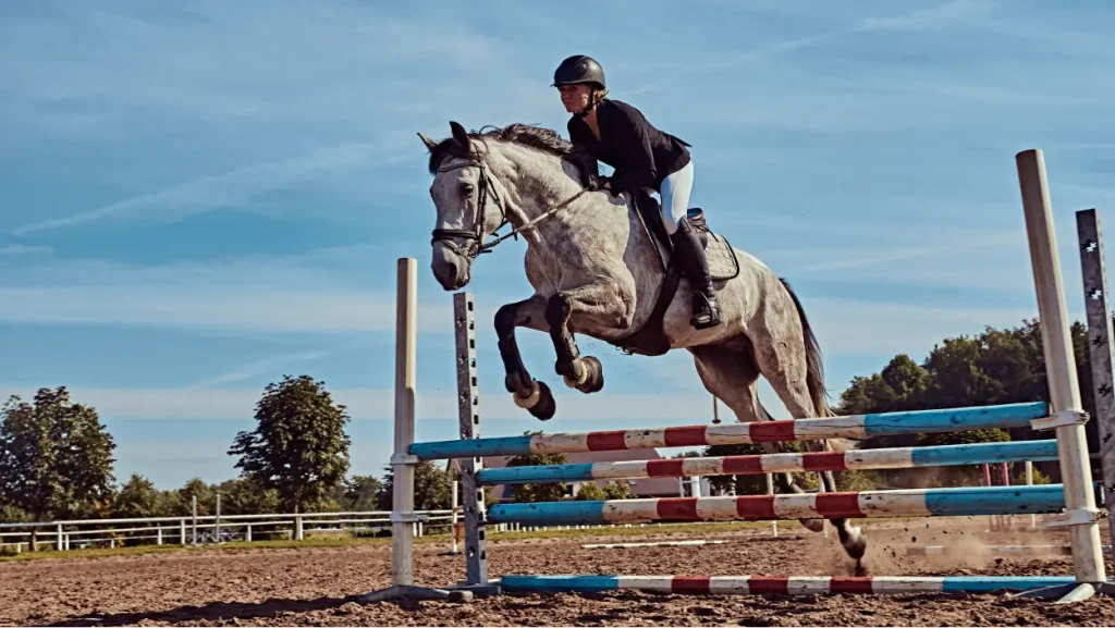 Springpferd mit Reiter beim Überspringen eines Hindernisses im Turnier.