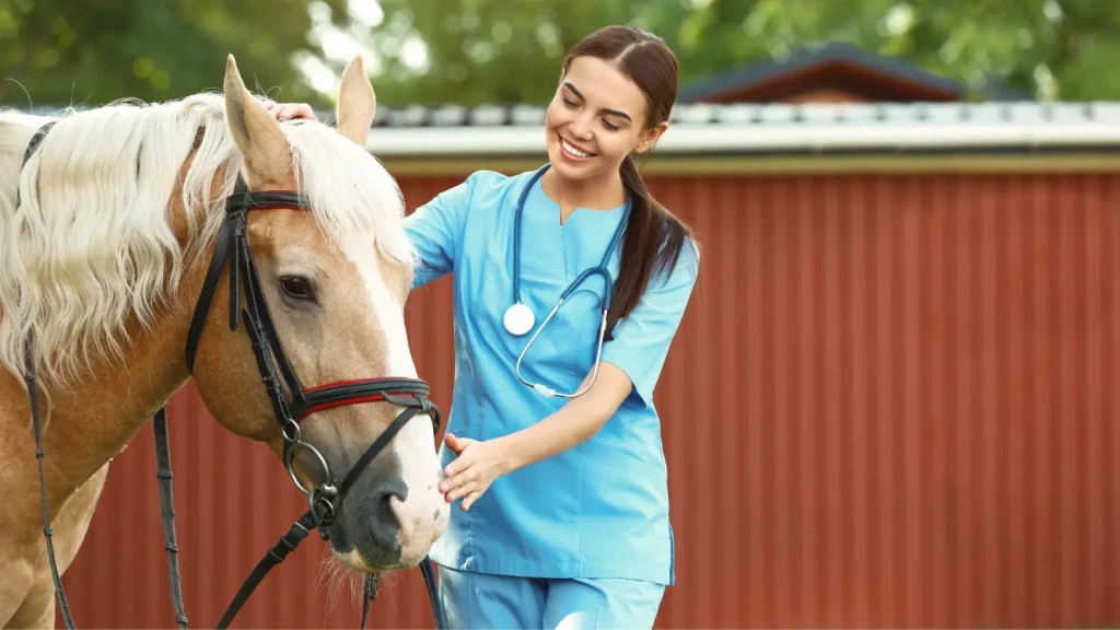 Lächelnde Tierärztin in blauer Kleidung mit Stethoskop untersucht ein helles Pferd vor einem Stallgebäude.