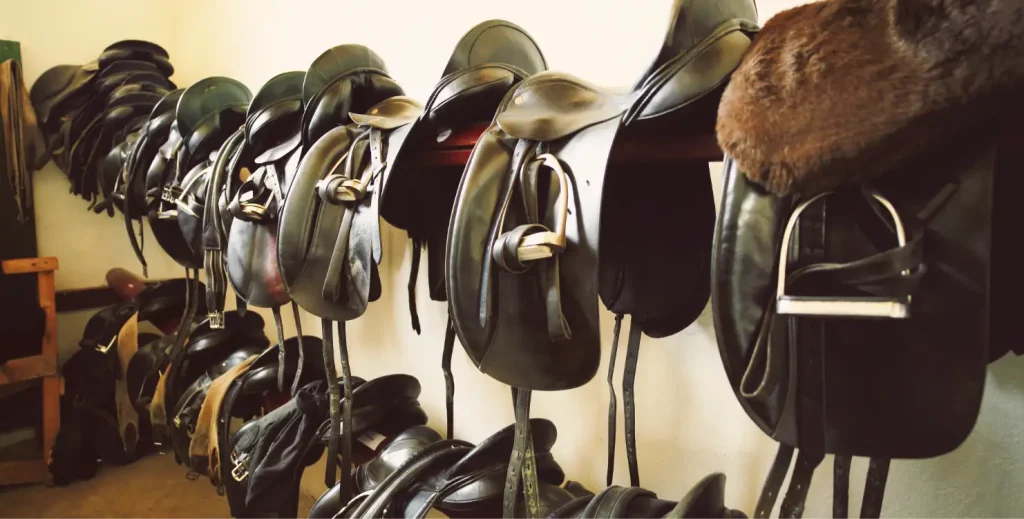 Mehrere Sättel hängen an der Wand – falsche oder unpassende Ausrüstung kann Rückenprobleme beim Pferd verursachen.